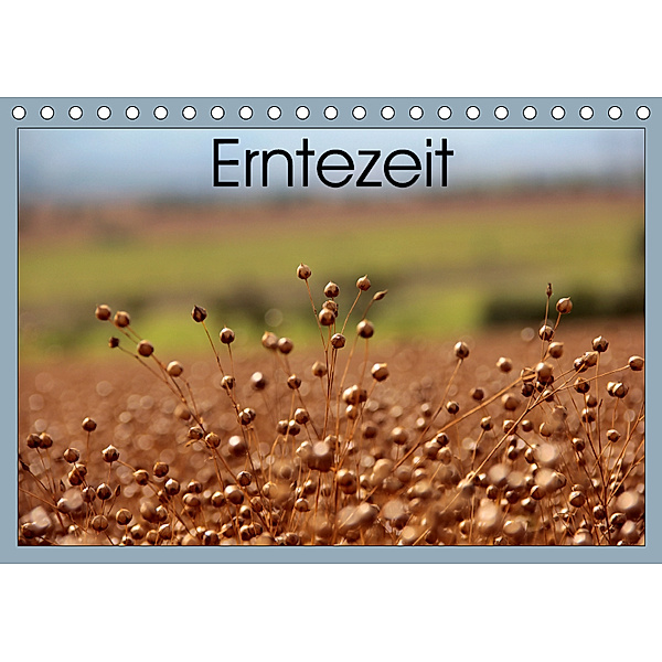 Erntezeit (Tischkalender 2019 DIN A5 quer), Flori0