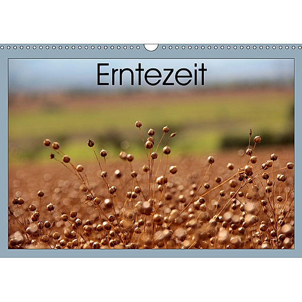 Erntezeit (Wandkalender 2019 DIN A3 quer), Flori0
