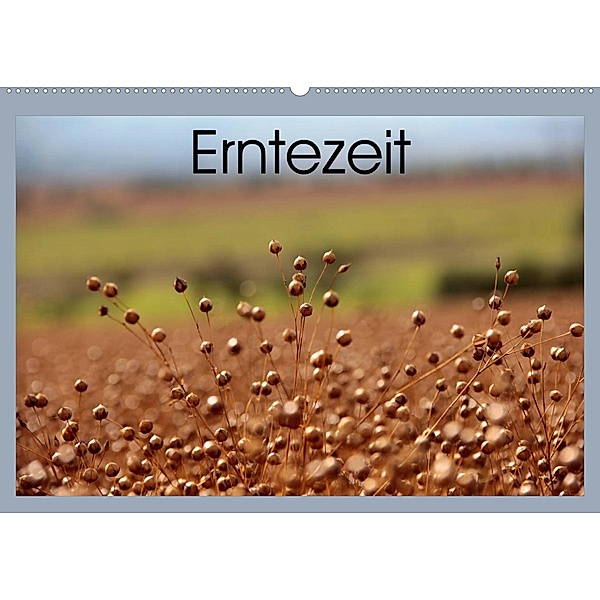 Erntezeit (Wandkalender 2023 DIN A2 quer), Flori0