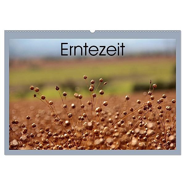 Erntezeit (Wandkalender 2024 DIN A2 quer), CALVENDO Monatskalender, Flori0