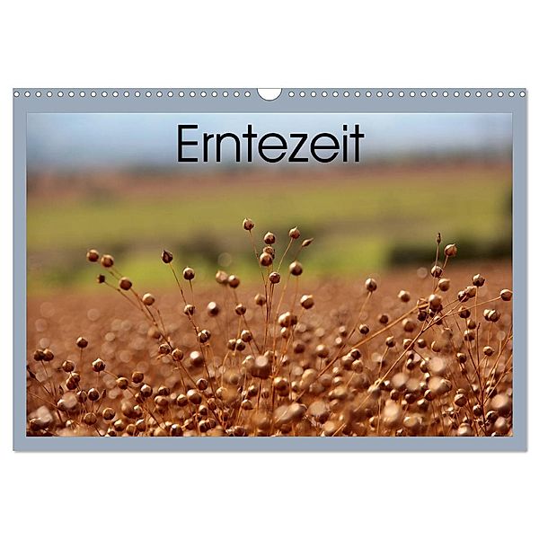 Erntezeit (Wandkalender 2024 DIN A3 quer), CALVENDO Monatskalender, Flori0