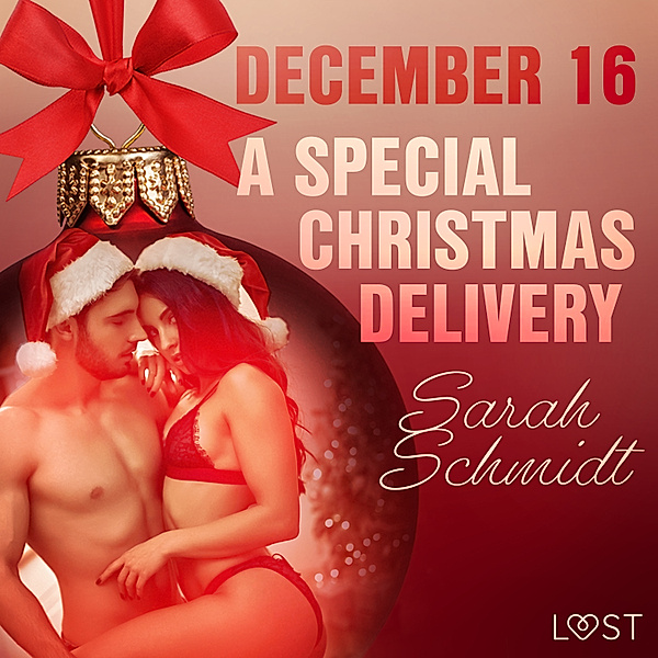 Erotic Christmas Calendar - 16 - December 16: A Special Christmas Delivery – An Erotic Christmas Calendar, Sarah Schmidt