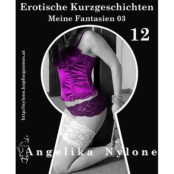 Erotische Kurzgeschichten 12 - Meine Fantasien 03, Angelika Nylone