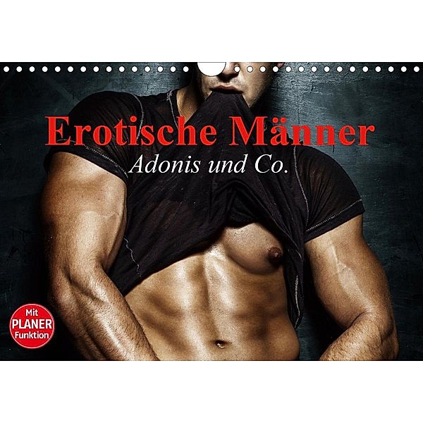 Erotische Männer. Adonis und Co. (Wandkalender 2021 DIN A4 quer), Elisabeth Stanzer