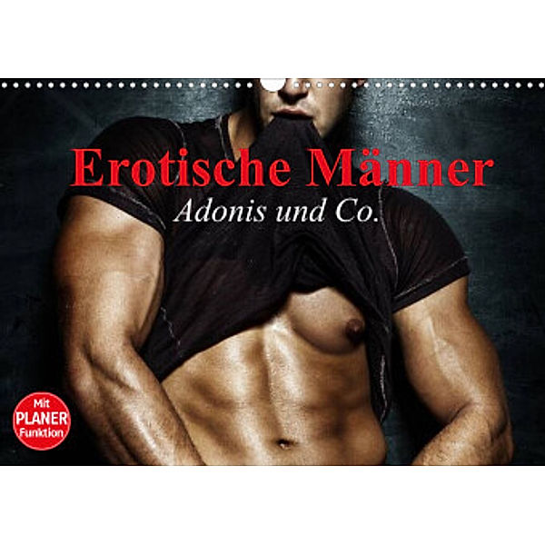 Erotische Männer. Adonis und Co. (Wandkalender 2022 DIN A3 quer), Elisabeth Stanzer
