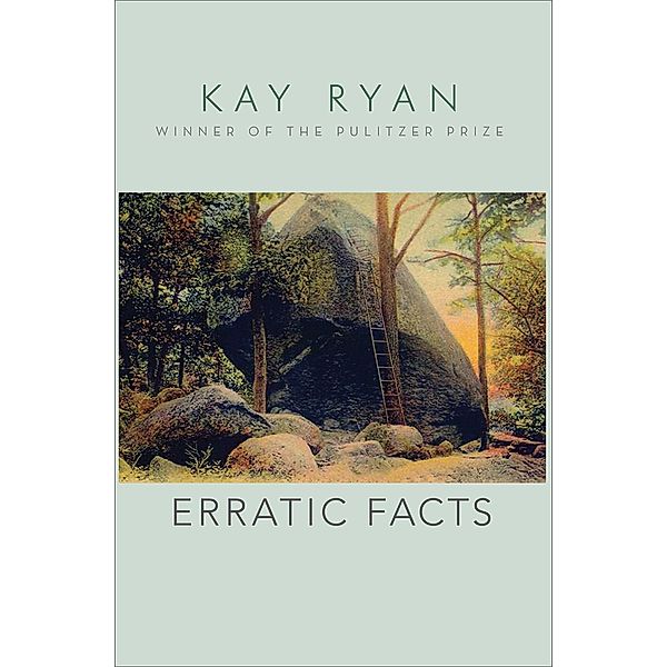 Erratic Facts, Kay Ryan