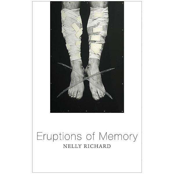 Eruptions of Memory, Nelly Richard