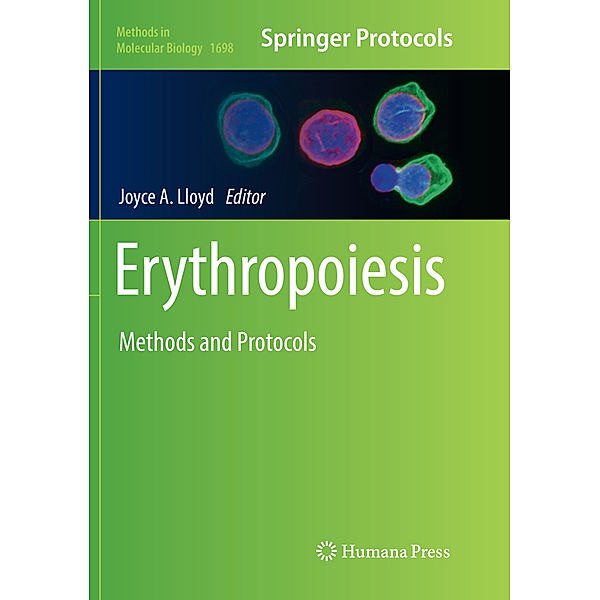 Erythropoiesis