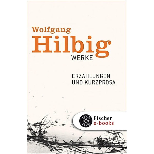 Erzählungen und Kurzprosa / Wolfgang Hilbig Werke Bd.2, Wolfgang Hilbig