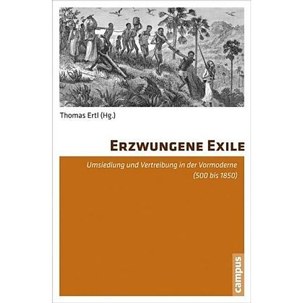 Erzwungene Exile