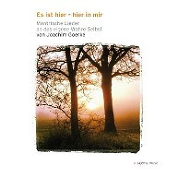 Es ist hier, hier in mir - mantrische Lieder an das Wahre Selbst, 1 Audio-CD, Joachim Goerke