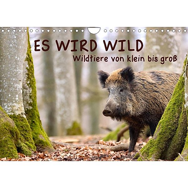 ES WIRD WILD Wildtiere von klein bis groß (Wandkalender 2023 DIN A4 quer), Angela Merk