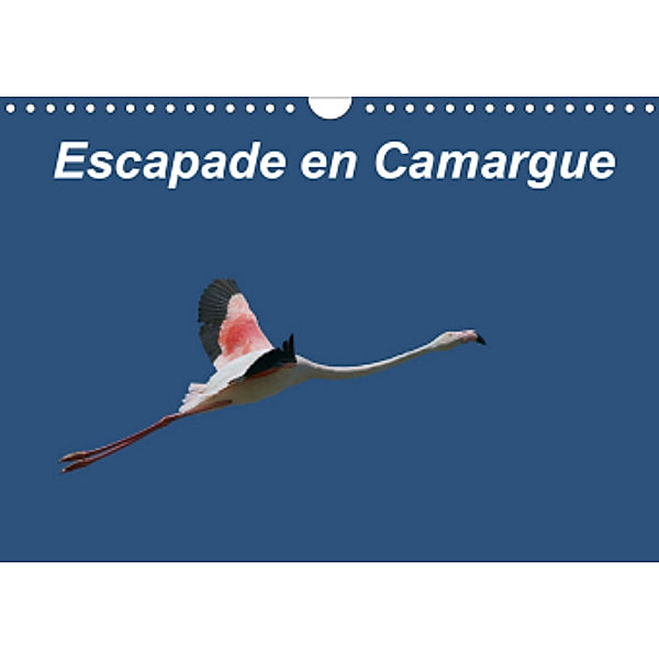 Escapade en Camargue (Calendrier mural 2021 DIN A4 horizontal), Martine Julien