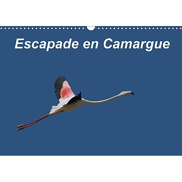 Escapade en Camargue (Calendrier mural 2023 DIN A3 horizontal), Martine Julien