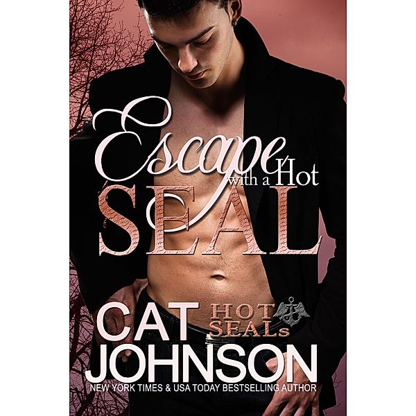 Escape with a Hot SEAL (Hot SEALs, #12) / Hot SEALs, Cat Johnson