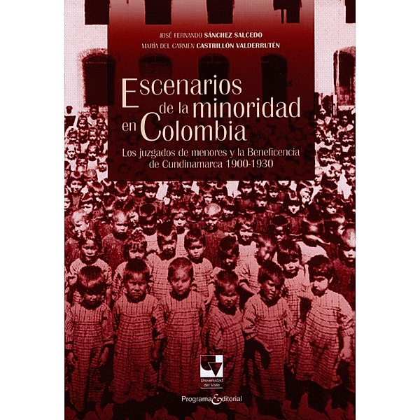 Escenarios de la minoridad en Colombia / Libros de investigación Bd.2, José Fernando Sánchez S, María Carmen Castrillón del V