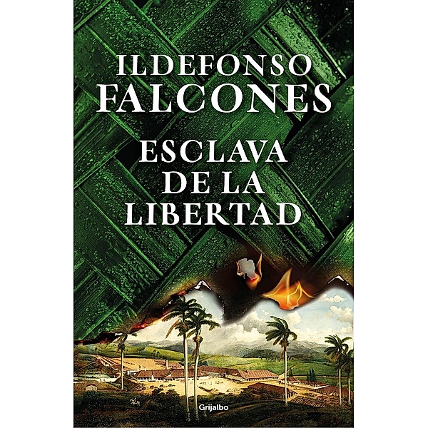 Esclava de la libertad, Ildefonso Falcones