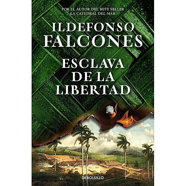 Esclava de la libertad, Ildefonso Falcones