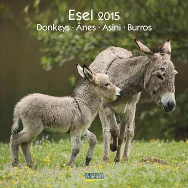 Esel 2015