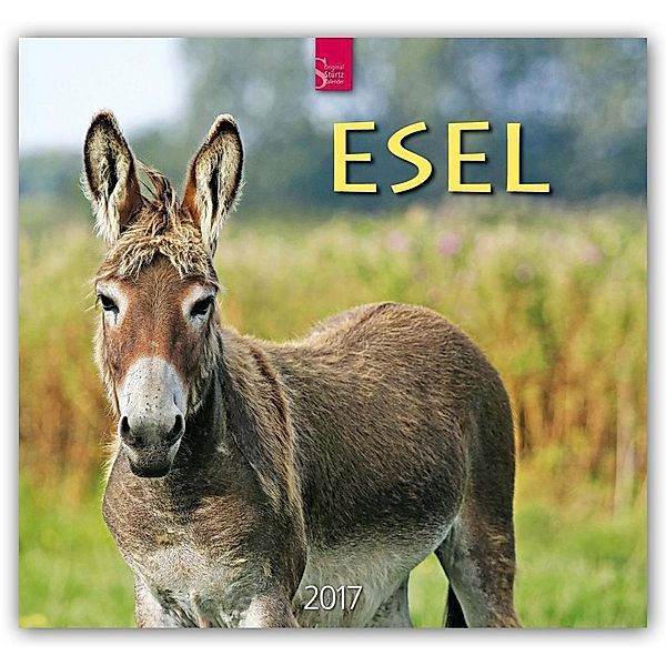 Esel 2017