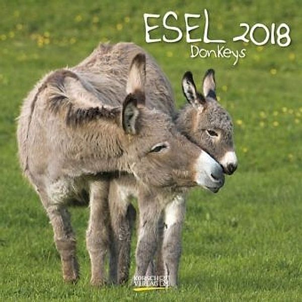 Esel 2018