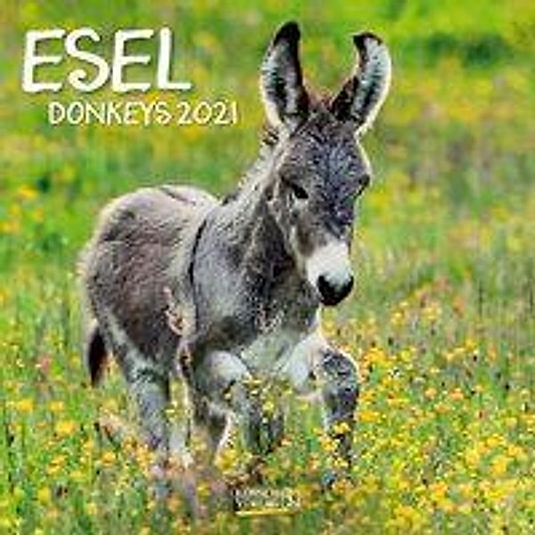 Esel 2021