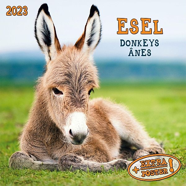 Esel 2023