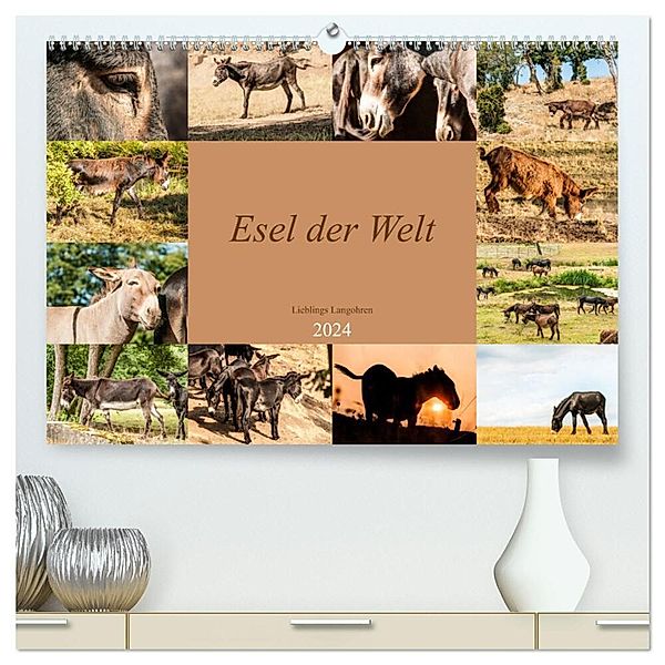 Esel der Welt - Lieblings Langohren (hochwertiger Premium Wandkalender 2024 DIN A2 quer), Kunstdruck in Hochglanz, Meike Bölts