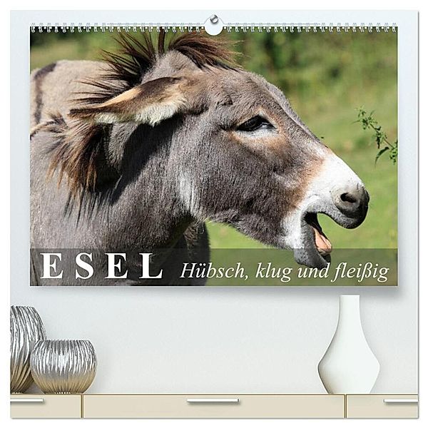 Esel - hübsch, klug und fleissig (hochwertiger Premium Wandkalender 2024 DIN A2 quer), Kunstdruck in Hochglanz, Elisabeth Stanzer