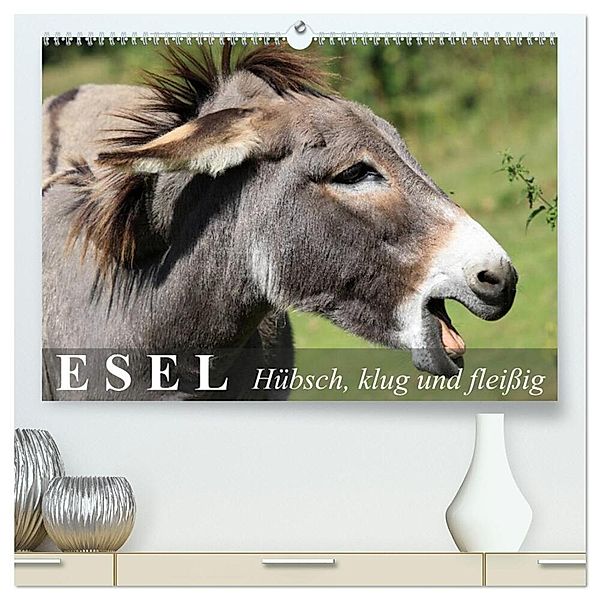 Esel - hübsch, klug und fleißig (hochwertiger Premium Wandkalender 2024 DIN A2 quer), Kunstdruck in Hochglanz, Elisabeth Stanzer