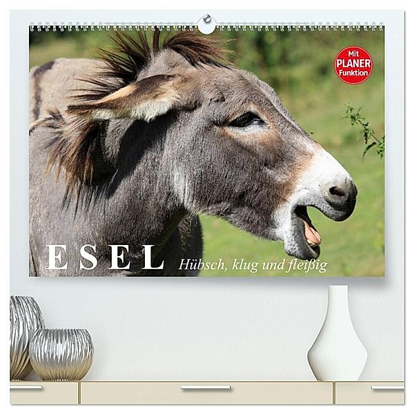Esel. Hübsch, klug und fleißig (hochwertiger Premium Wandkalender 2024 DIN A2 quer), Kunstdruck in Hochglanz, Elisabeth Stanzer