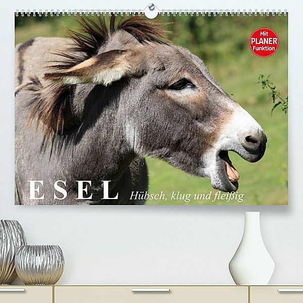 Esel. Hübsch, klug und fleißig (Premium, hochwertiger DIN A2 Wandkalender 2023, Kunstdruck in Hochglanz), Elisabeth Stanzer