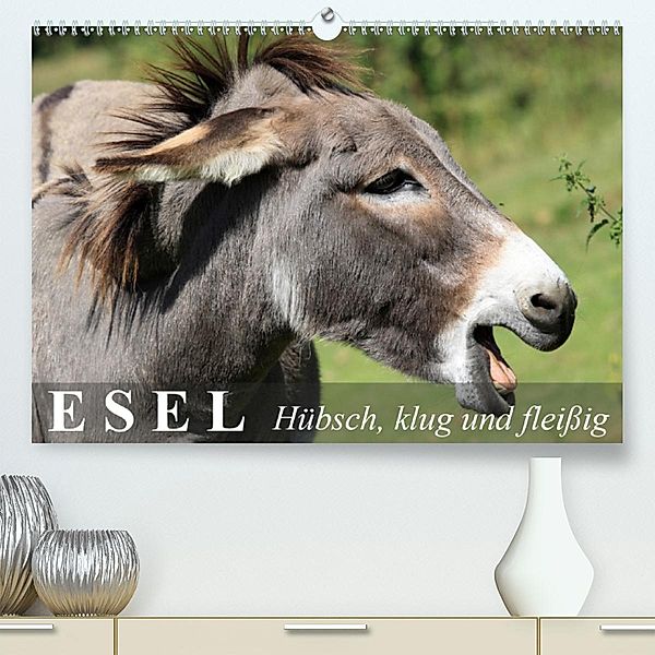 Esel - hübsch, klug und fleißig(Premium, hochwertiger DIN A2 Wandkalender 2020, Kunstdruck in Hochglanz), Elisabeth Stanzer