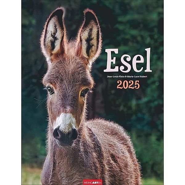 Esel Kalender 2025