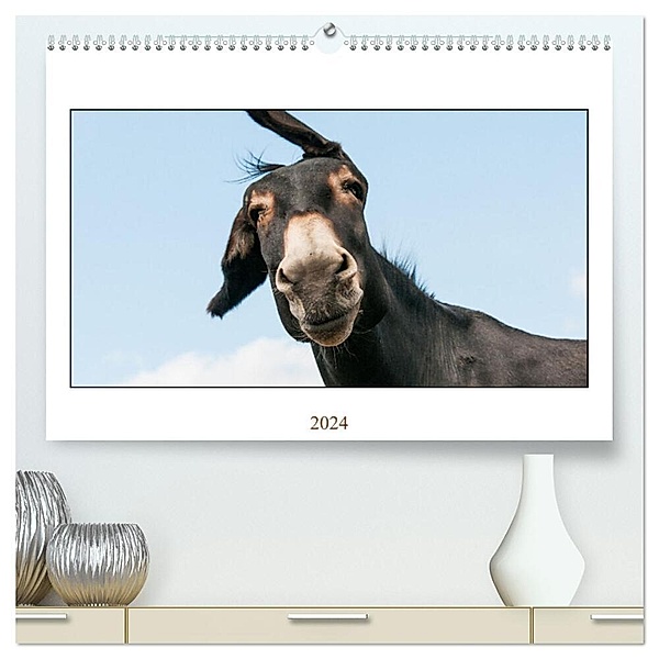 Esel Lebensfreude - Spaß mit Langohren (hochwertiger Premium Wandkalender 2024 DIN A2 quer), Kunstdruck in Hochglanz, Meike Bölts