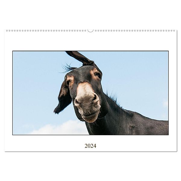 Esel Lebensfreude - Spass mit Langohren (Wandkalender 2024 DIN A2 quer), CALVENDO Monatskalender, Meike Bölts
