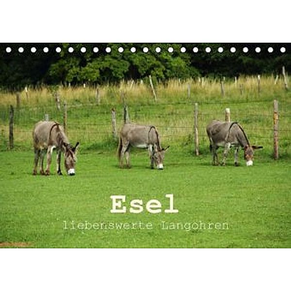 Esel - liebenswerte Langohren (Tischkalender 2015 DIN A5 quer), Christine Hutterer