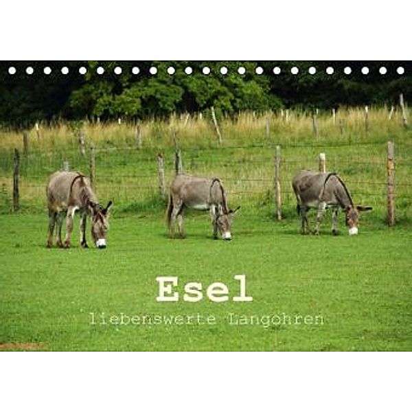 Esel - liebenswerte Langohren (Tischkalender 2016 DIN A5 quer), Christine Hutterer
