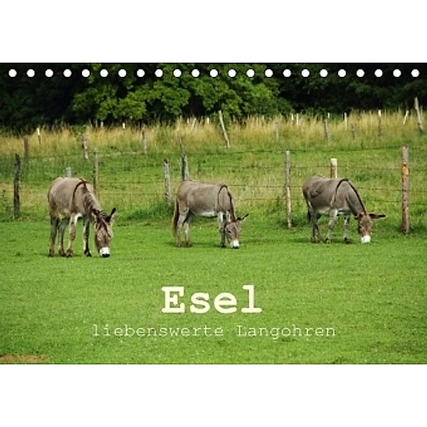 Esel - liebenswerte Langohren (Tischkalender 2017 DIN A5 quer), Christine Hutterer