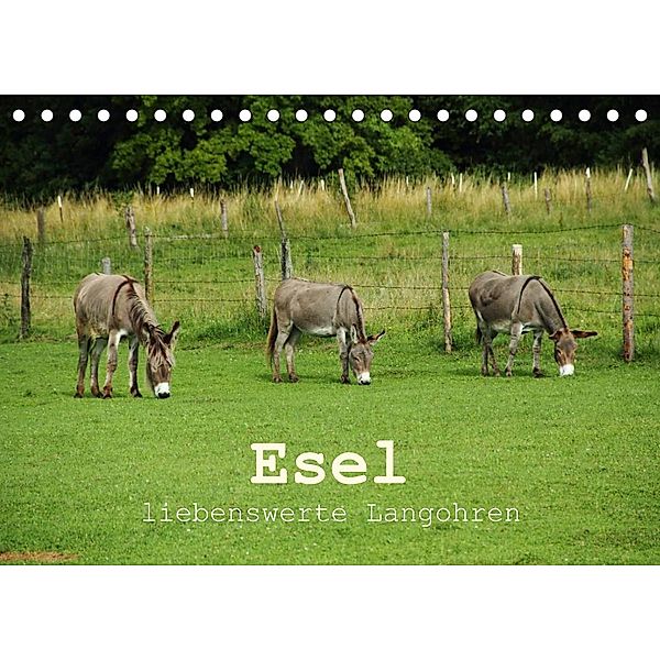 Esel - liebenswerte Langohren (Tischkalender 2023 DIN A5 quer), Christine Hutterer