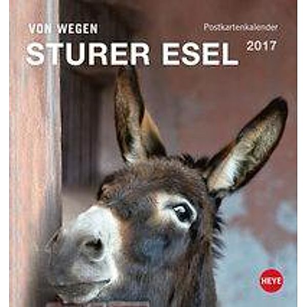 Esel Postkartenkalender 2017