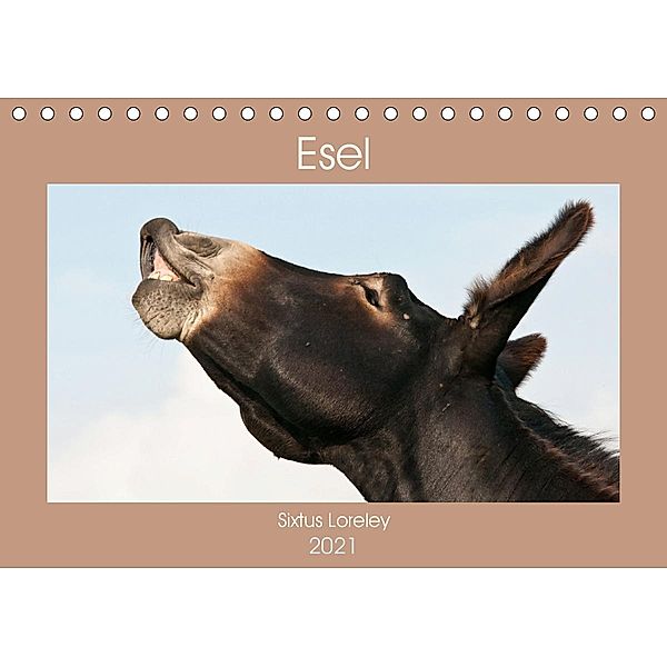 Esel - Sixtus Loreley (Tischkalender 2021 DIN A5 quer), Meike Bölts