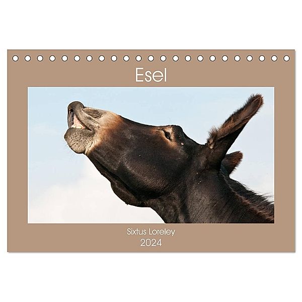 Esel - Sixtus Loreley (Tischkalender 2024 DIN A5 quer), CALVENDO Monatskalender, Meike Bölts