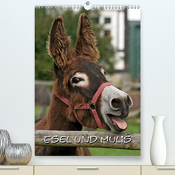 Esel und Mulis / CH-Version (Premium, hochwertiger DIN A2 Wandkalender 2023, Kunstdruck in Hochglanz), Pferdografen.de