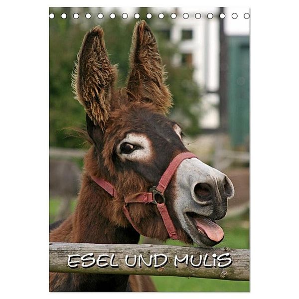Esel und Mulis / CH-Version (Tischkalender 2024 DIN A5 hoch), CALVENDO Monatskalender, Pferdografen.de