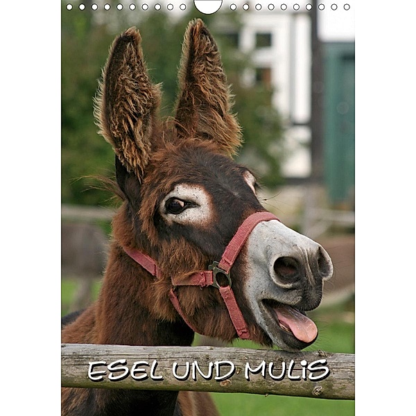 Esel und Mulis / CH-Version (Wandkalender 2021 DIN A4 hoch), Pferdografen.de
