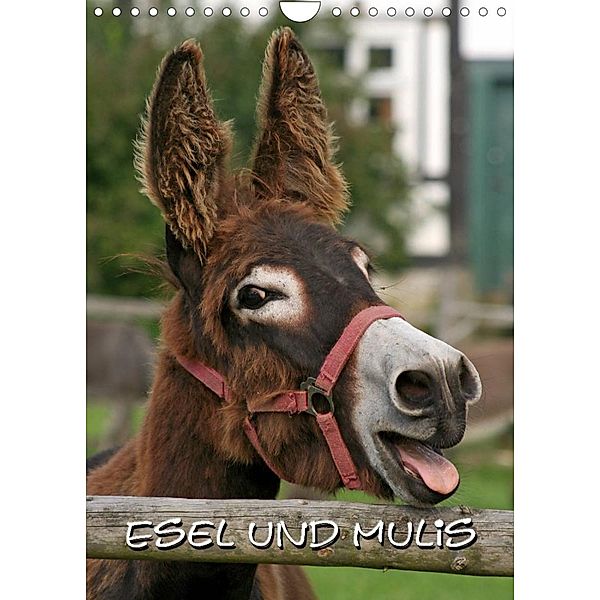 Esel und Mulis / CH-Version (Wandkalender 2023 DIN A4 hoch), Pferdografen.de