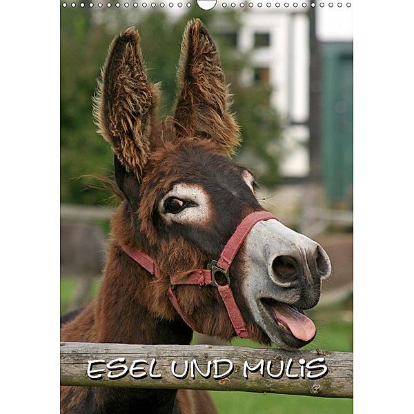 Esel und Mulis (Wandkalender 2021 DIN A3 hoch), Pferdografen.de