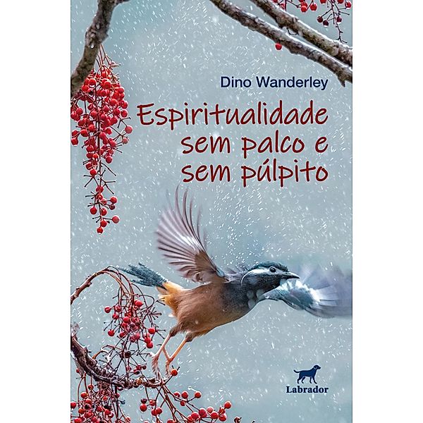 Espiritualidade sem palco e sem pulpito, Dino Wanderley