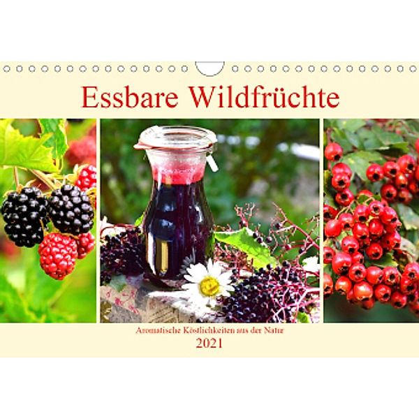 Essbare Wildfrüchte. Aromatische Köstlichkeiten aus der Natur (Wandkalender 2021 DIN A4 quer), Rose Hurley